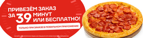 Вовремя или бесплатно