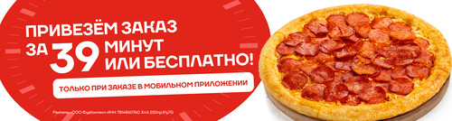 Вовремя или бесплатно
